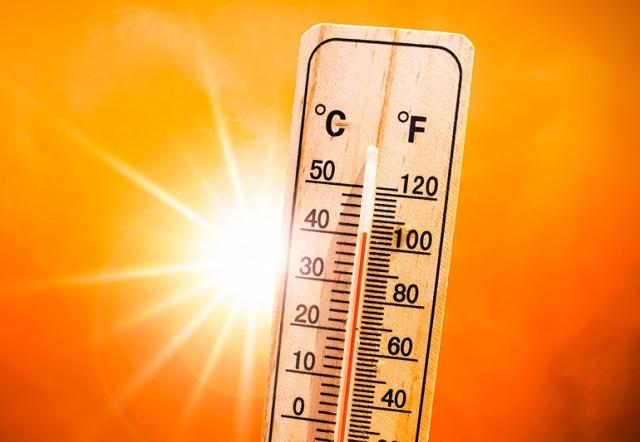Getting too Hot this Summer